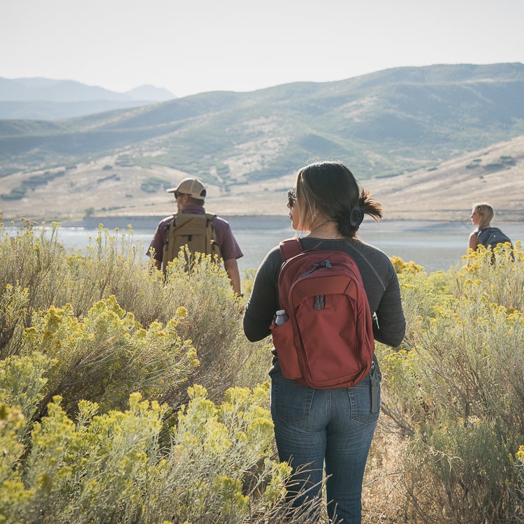 Photograph three hikers with backpacks walking a trail near a calm lake and mountains with yellow wildflowers and a red backpack a tan backpack and sunglasses